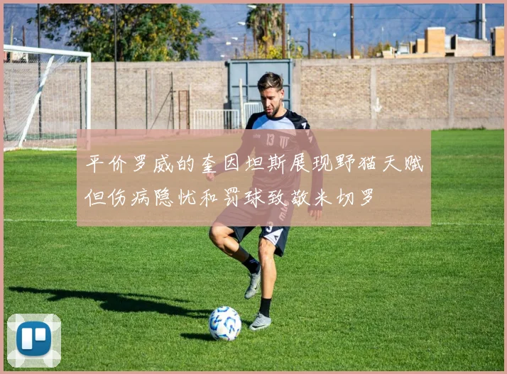 平价罗威的奎因坦斯展现野猫天赋但伤病隐忧和罚球致敬米切罗